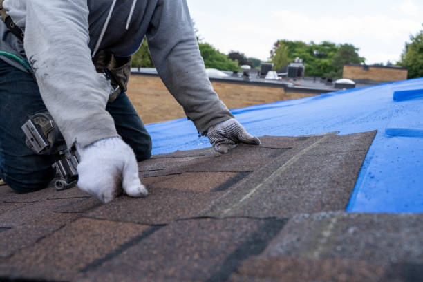 Steel Roofing in Galatia, IL